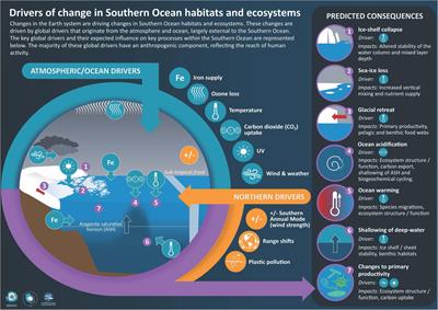 Global Drivers on Southern Ocean Ecosystems: Changing Physical Environments and Anthropogenic Pressures in an Earth System